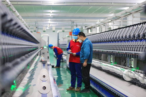 扎实服务稳经济 国网杭州供电公司推出十项举措